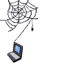 web with spider 
