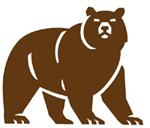 Library Search Bear