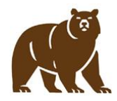 bear 